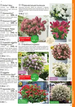 Náhled nabídky: Starkl Katalog podzim 2025 platný od 01.08.2025 | Strana: 33