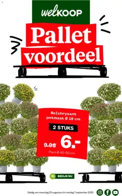 Voorbeeld van Folder van winkel Welkoop geldig vanaf 08-09-2025
