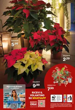 Anteprima dell'opuscolo Attuale volantino dal negozio IN's valido da 03/12/2025 | Pagina: 24
