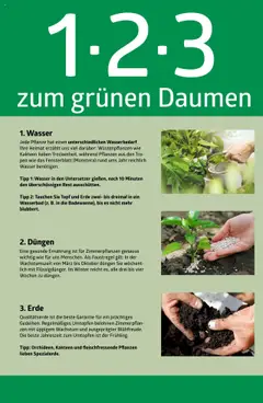 Vorschau der Angebote: bellaflora 1-2-3 zum grünen Daumen gültig ab 13.02.2023