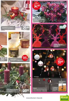 Vorschau von dem Prospekt des Geschäftes Blumen Risse, gültig ab dem 13.11.2025 | Seite: 3