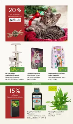 Vorschau von dem Prospekt des Geschäftes Pflanzen-Kölle, gültig ab dem 24.11.2025 | Seite: 15