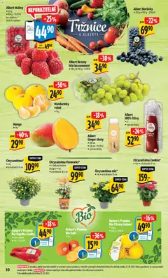 Náhled nabídky: Albert Hypermarket platný od 29.10.2025 | Strana: 16