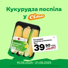Попередній перегляд каталогу Поточний каталог з магазину Сільпо дійсний від 16.08.2025