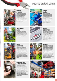 Náhled nabídky: Mountfield Katalog 2025 platný od 16.04.2025 | Strana: 5