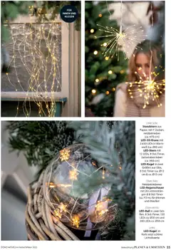 Vorschau von dem Prospekt des Geschäftes Dehner, gültig ab dem 09.10.2025 | Seite: 35