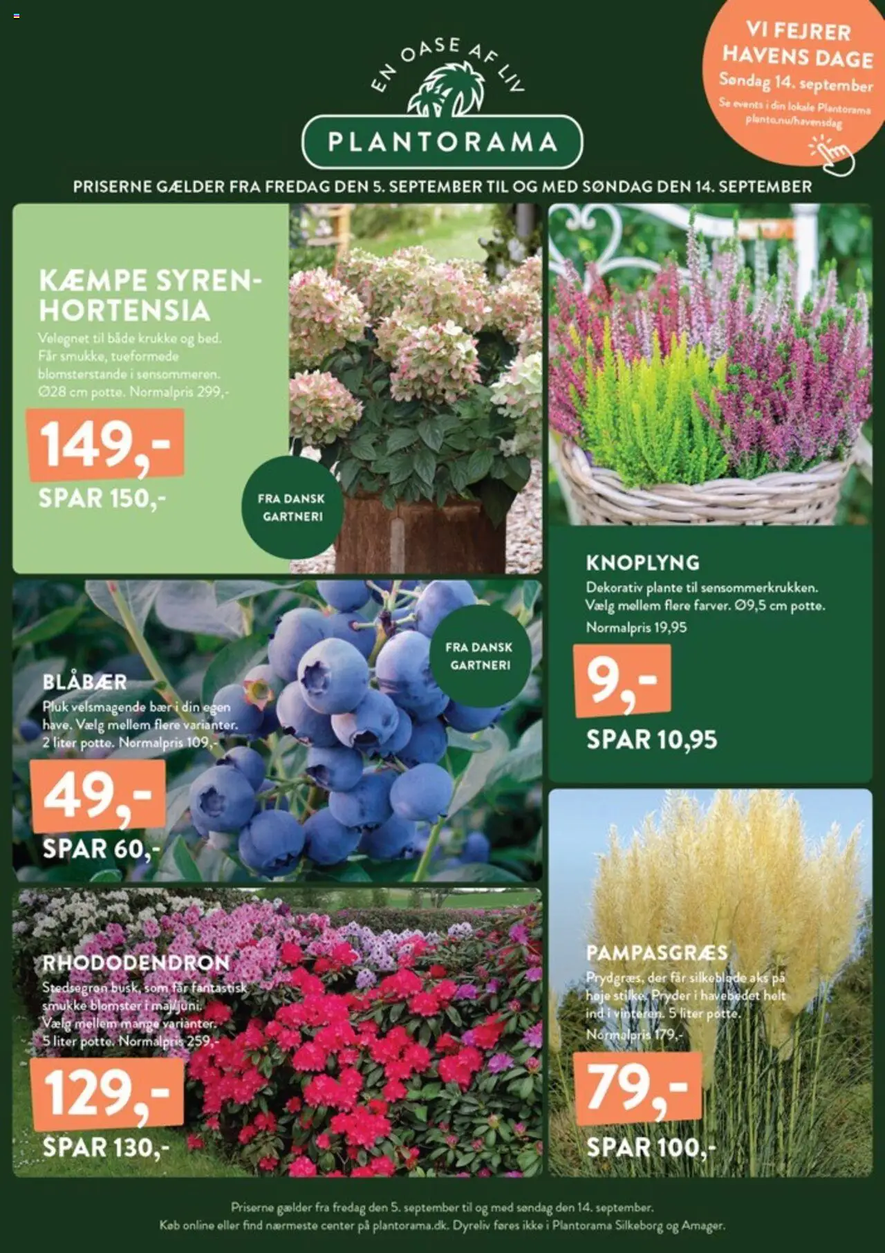 Plantorama tilbudsavis gyldig fra 05/09/2025 - side 1