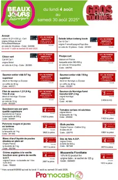 Prévisualisation de Gros volume petits prix du magasin Promocash formulaire valide 04/08/2025