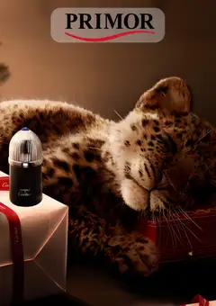 Vista previa del folleto de la tienda Primor válido desde el 11/12/2025 