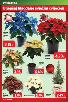 Pregled letka Katalog trgovine Plodine vrijedi od 03.12.2025 | Stranica: 22