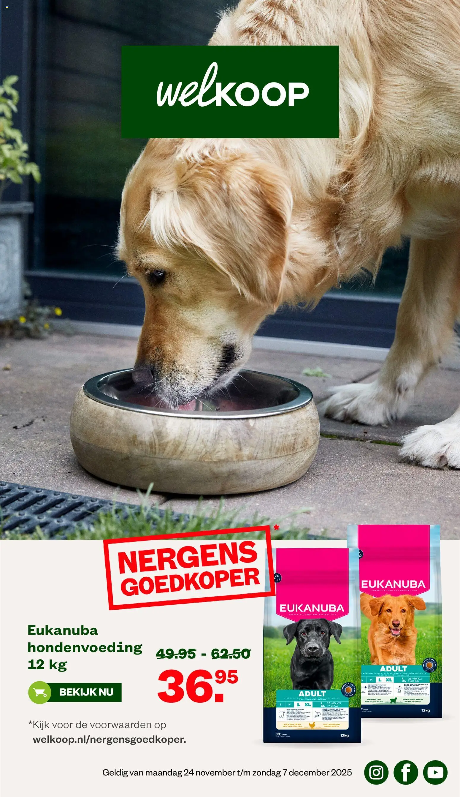 Voorbeeld van Folder van winkel Welkoop geldig vanaf 24-11-2025