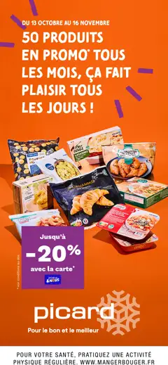 Prévisualisation de Catalogue 50 produits en promo tous les mois du magasin Picard formulaire valide 13/10/2025