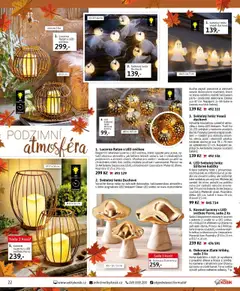 Náhled nabídky: Velký Košík Katalog říjen platný od 01.10.2025 | Strana: 22