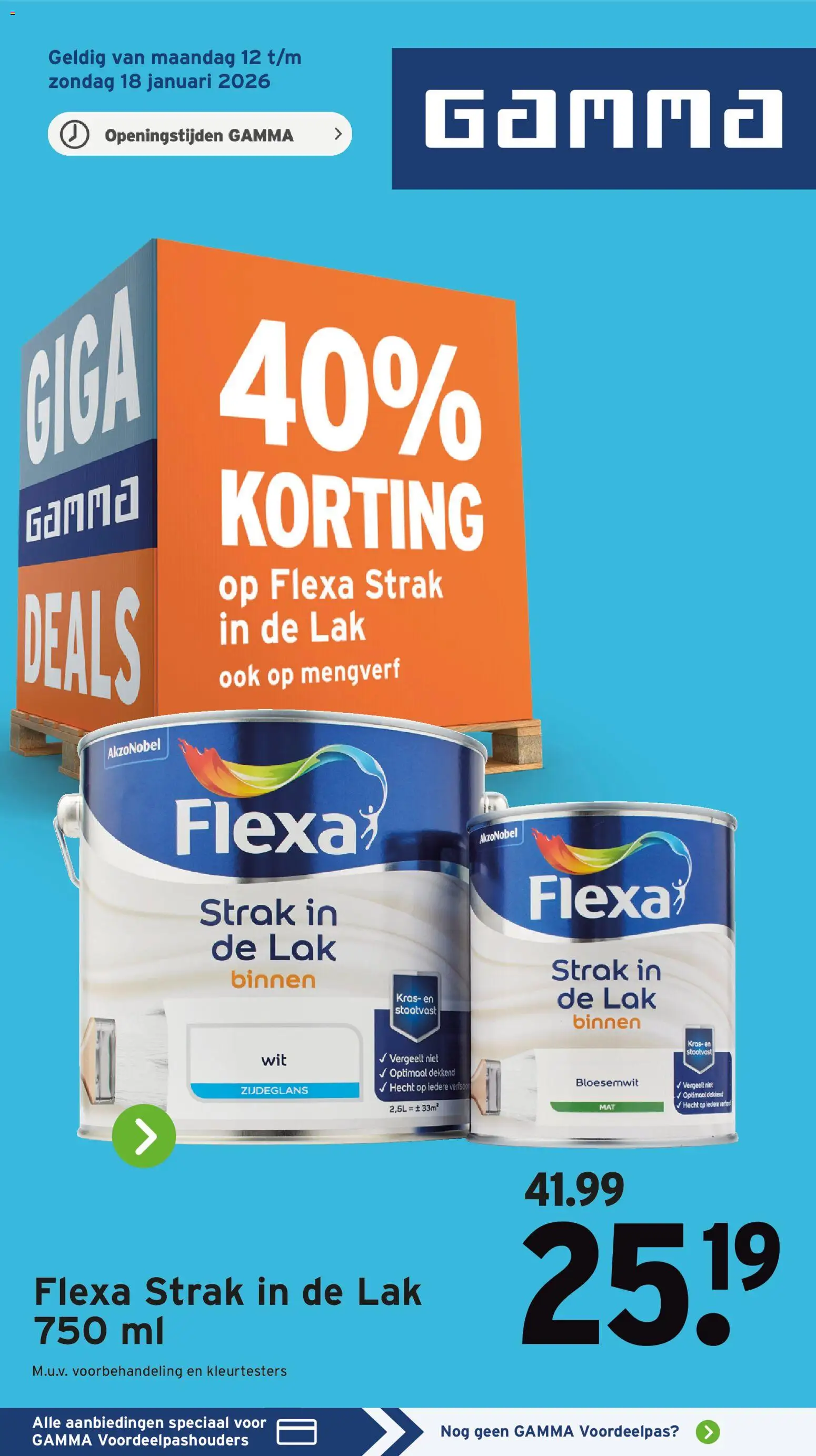 Voorbeeld van Folder van winkel GAMMA geldig vanaf 12-01-2026