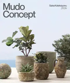 Mudo Saksi 2026 01.01.2026 - Broşürünün önizlemesi