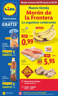 Vista previa del folleto de la tienda Lidl válido desde el 20/10/2025 