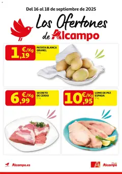 Vista previa del folleto de la tienda Alcampo válido desde el 16/09/2025 