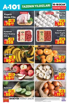 A101 Tazenin Yıldızları 15.01.2026 - Broşürünün önizlemesi