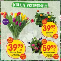 Förhandsgranska reklamblad Aktuella reklamblad EKO från butik EKO gäller från 02/02/2026