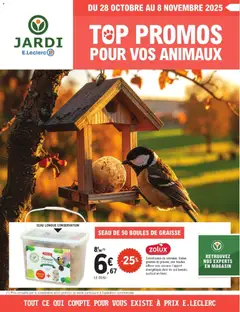 Prévisualisation de Catalogue du magasin Brico E.Leclerc formulaire valide 28/10/2025