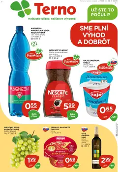 Náhľad Terno letáku platného od 22.01.2026