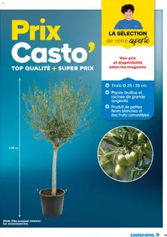 Prévisualisation de La collection jardin du magasin Castorama formulaire valide 26/02/2025 | Page: 95