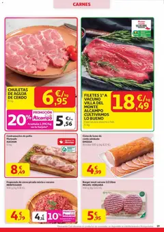 Vista previa del folleto de la tienda Alcampo válido desde el 06/11/2025 | Página: 19