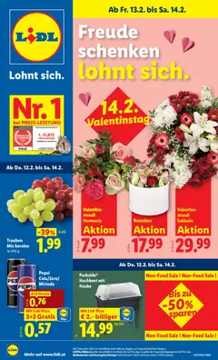 Vorschau der Angebote: Lidl Altenmarkt im Pongau, St. Johann im Pongau, Zell am See gültig ab 13.02.2026
