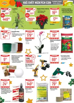 Náhled nabídky: Globus Leták platný od 12.11.2025 | Strana: 40