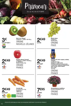 Prévisualisation de Catalogue du magasin Monoprix formulaire valide 21/10/2025 | Page: 10