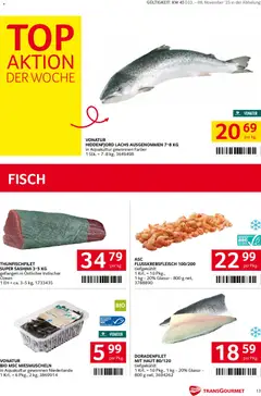 Vorschau der Angebote: Transgourmet Flugblatt gültig ab 03.11.2025 | Seite: 13