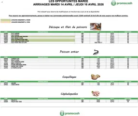 Prévisualisation de Promocash Opportunités Marée du magasin Promocash formulaire valide 14/04/2026