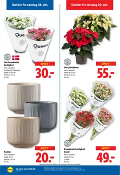 Eksempel på tilbudsavis Tilbudsavis fra butik Lidl gyldig fra 26/10/2025 | Side: 28