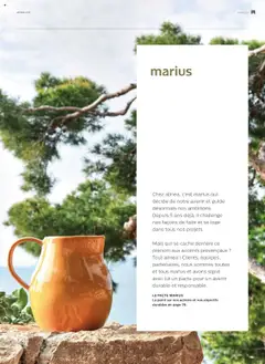 Prévisualisation de Catalogue du magasin Alinéa formulaire valide 01/05/2024 | Page: 9