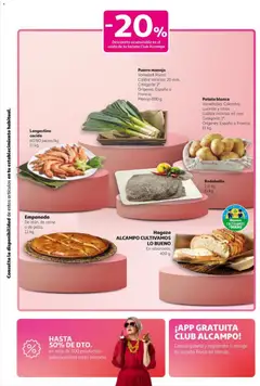 Vista previa del folleto de la tienda Alcampo válido desde el 06/11/2025 | Página: 4