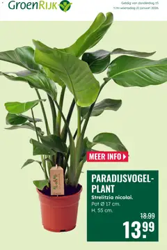 Voorbeeld van Folder van winkel GroenRijk geldig vanaf 15-01-2026