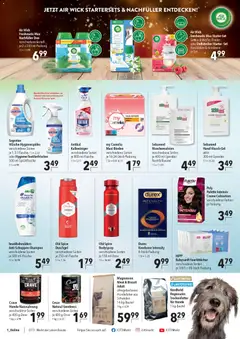 Vorschau von dem Prospekt des Geschäftes CITTI Markt, gültig ab dem 05.11.2025 | Seite: 22