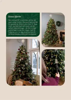 Forhåndsvis Kundeavis fra butikk Plantasjen gyldig fra 02/12/2025 | Side: 17