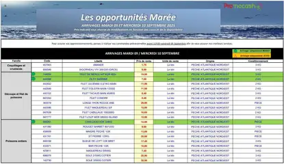 Prévisualisation de Mag Opportunites du magasin Promocash formulaire valide 09/09/2025