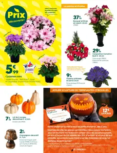 Prévisualisation de Catalogue du magasin Truffaut formulaire valide 17/10/2025 | Page: 3