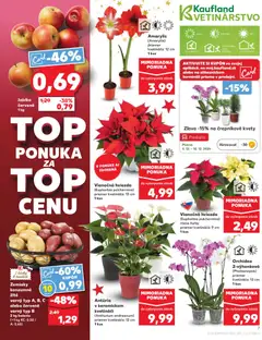 Náhľad Kaufland letáku platného od 04.12.2025 | Strana: 7