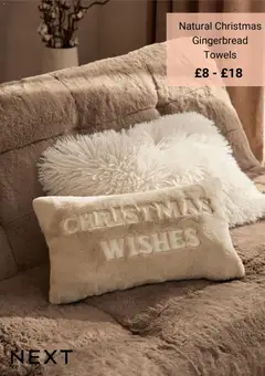 Preview of Next Offers valid from 21/11/2025 | Page: 2