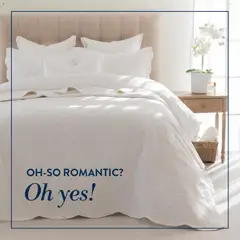 Preview of Volpes flyer valid from 20/02/2026