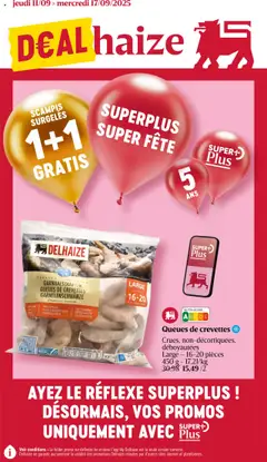 Prévisualisation de Folder de la semaine 37 du magasin Delhaize formulaire valide 11/09/2025