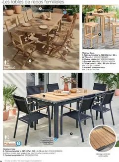 Prévisualisation de La collection jardin du magasin Castorama formulaire valide 26/02/2025 | Page: 56