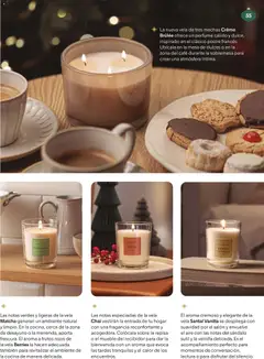 Vista previa del folleto de la tienda Mercadona válido desde el 02/12/2025 | Página: 55