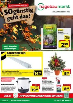 Vorschau der Angebote: Hagebau Flugblatt gültig ab 21.10.2025