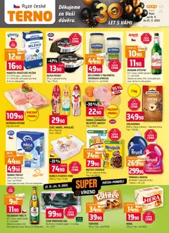 Náhled nabídky: Terno Leták platný od 19.11.2025