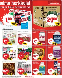 Kaupan Kärkkäinen Tarjoukset esikatselu, voimassa 03/11/2025 | Sivu: 17