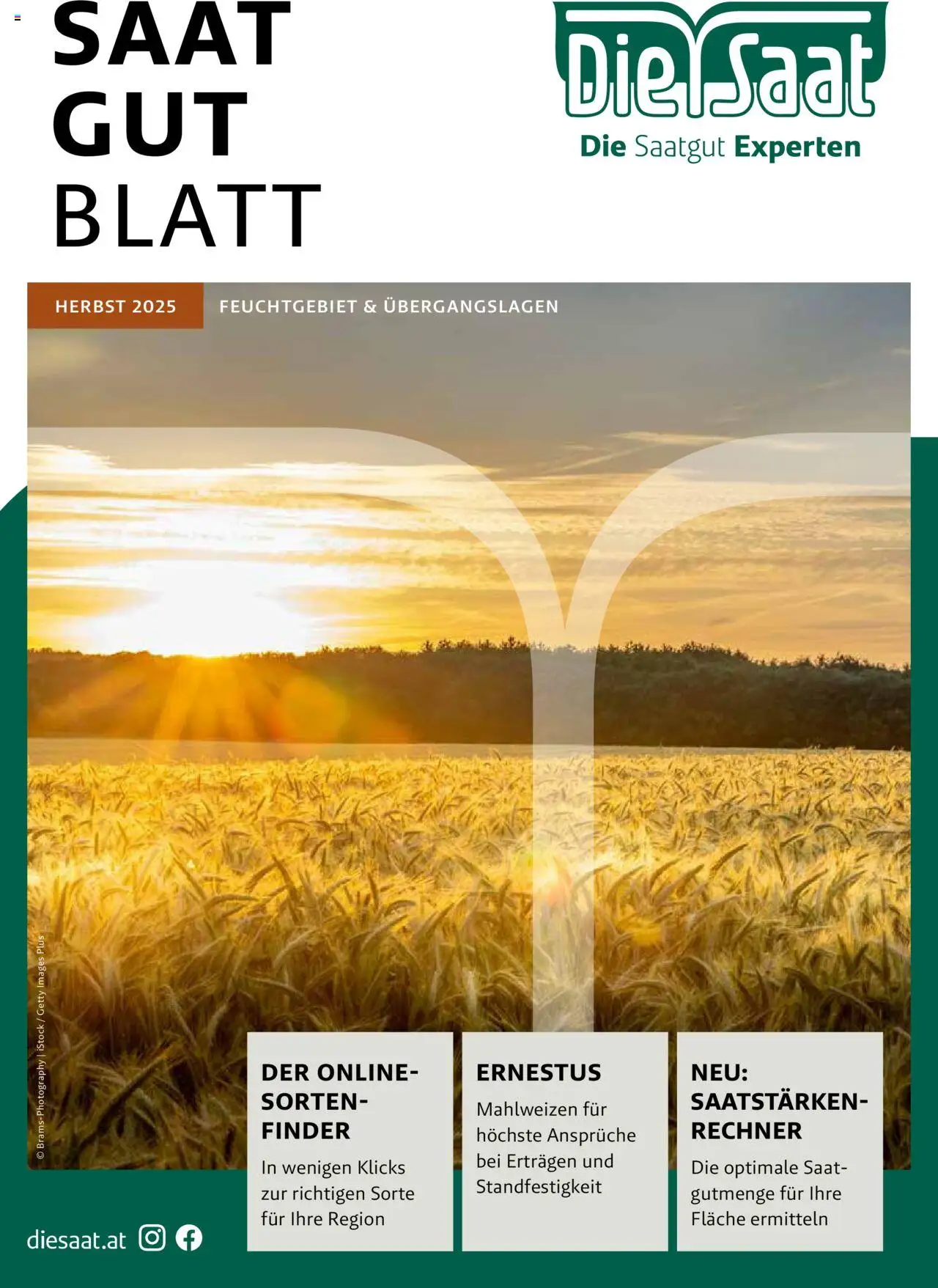  Lagerhaus Saatzeitung Herbst Feuchtgebiet ab (von Montag 01.09.2025) - Seite 1